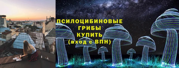 бошки Аркадак